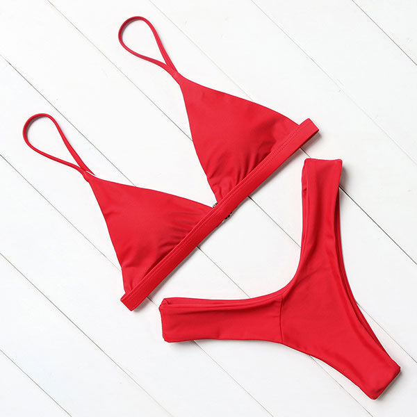 Bikini de dos piezas